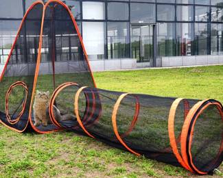 cat tent and run pet mansion