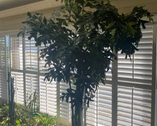 Tall Faux tree 10 ft