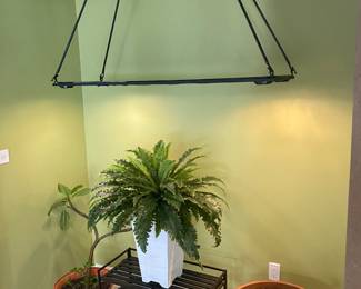 Hand Forged in VT hanging light fixture 37 1/2" x 48" x 40 1/2"                                                                                                       Faux Fern in pot 31"                                                                                                 Live succulent in large terracotta pot, live plumeria                                                      