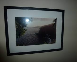 Framed Print