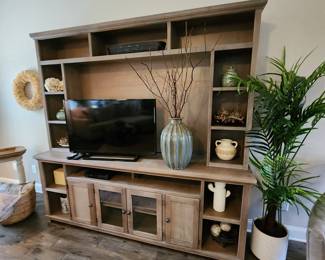 Fantastic Media Cabinet