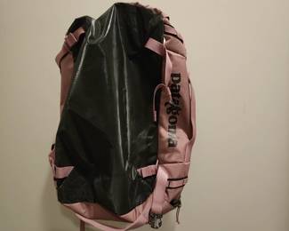 Patagonia Backpack