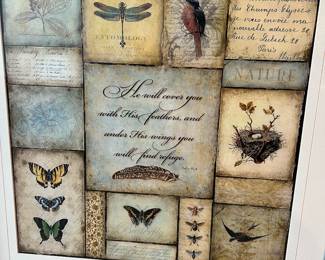 butterfly dragonflies faith nature