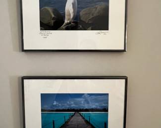 A Seal and Bridge Artwork