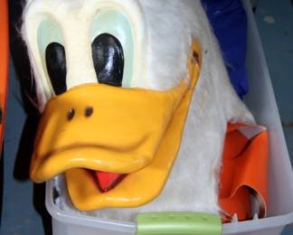 Vintage Duck Costume