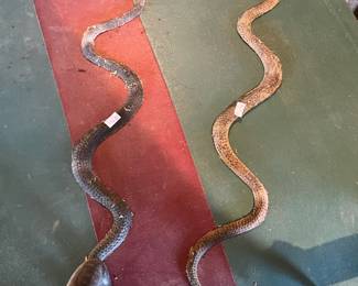 We caught these two trying to sneak in early!!!