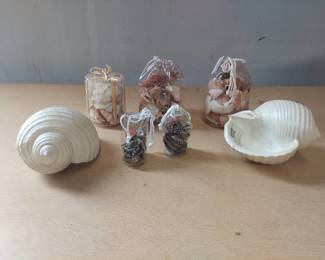 shell decor