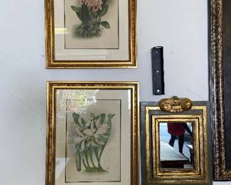 $190 each.  Antique framed botanicals for sale.  