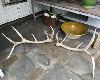 $680. A pair of six point antlers.  One side is 28 inches wide. The other side is 27 inches wide.