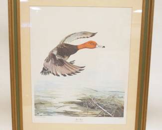 1142	RED HEAD DUCK PRINT SIGNED SALLIE ELINGTON MIDDLETON #1798, APPROXIMATELY 25 IN X 31 IN OVERALL
