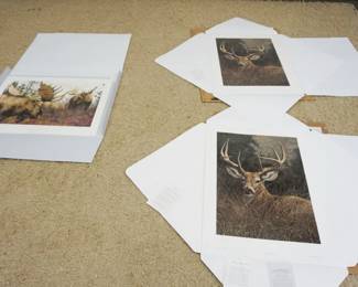 1292	LOT OF 3 LTD ED PRINTS, MILLPOND PRESS & VOYAGER ART, JORGE MAYOL 2 *PEACEFULL WHITETAIL DEER* & BRIAN JARVI * CONFRONTATION MOOSE*, APPROXIMATELY 24 IN X 32 IN

