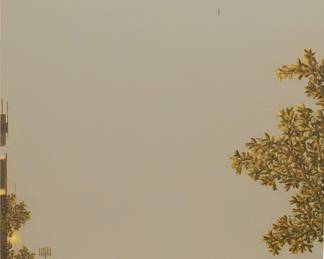 Janaki Lennie
Breathing Space 62
oil on panel
2006
20 x 16 inches