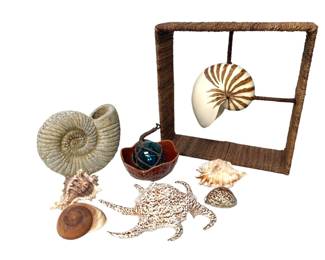Shells and Beach Themed Decor
