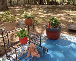 Outdoor decor and plants