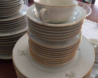 Haviland Bavaria china complete set