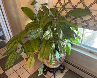 Vintage asian style planter w/ love plant