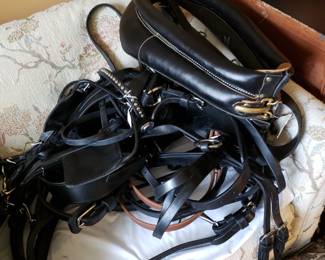 New, never used full harness