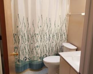 Bath vanity; updated commode