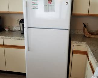 GE refrigerator detail