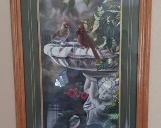 Beautiful Rick Kelley Cardinal Picture