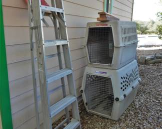 Ladder and pet crates