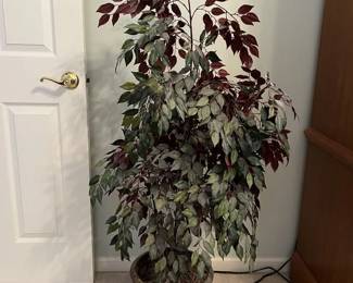 Faux Capensia Plant and Planter