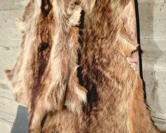 Beautiful Vintage Furs