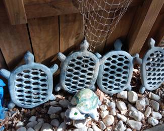 Turtle stepping stones