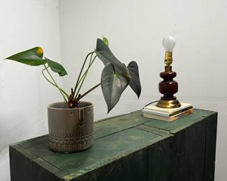 Here's the top to show color! 