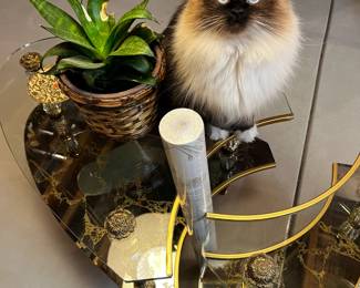 Hollywood Regency accent tables. **Gorgeous cat not included. 