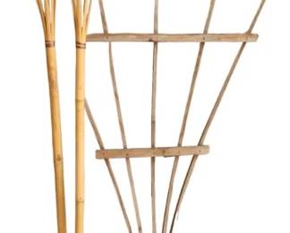 Tiki Torches and Trellis