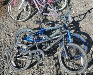 #80208 • (2) Bikes
