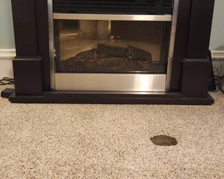 Electric fireplace with cool adjustable flame