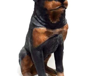 crXp1xt dqjNbtCjgLaN3jt