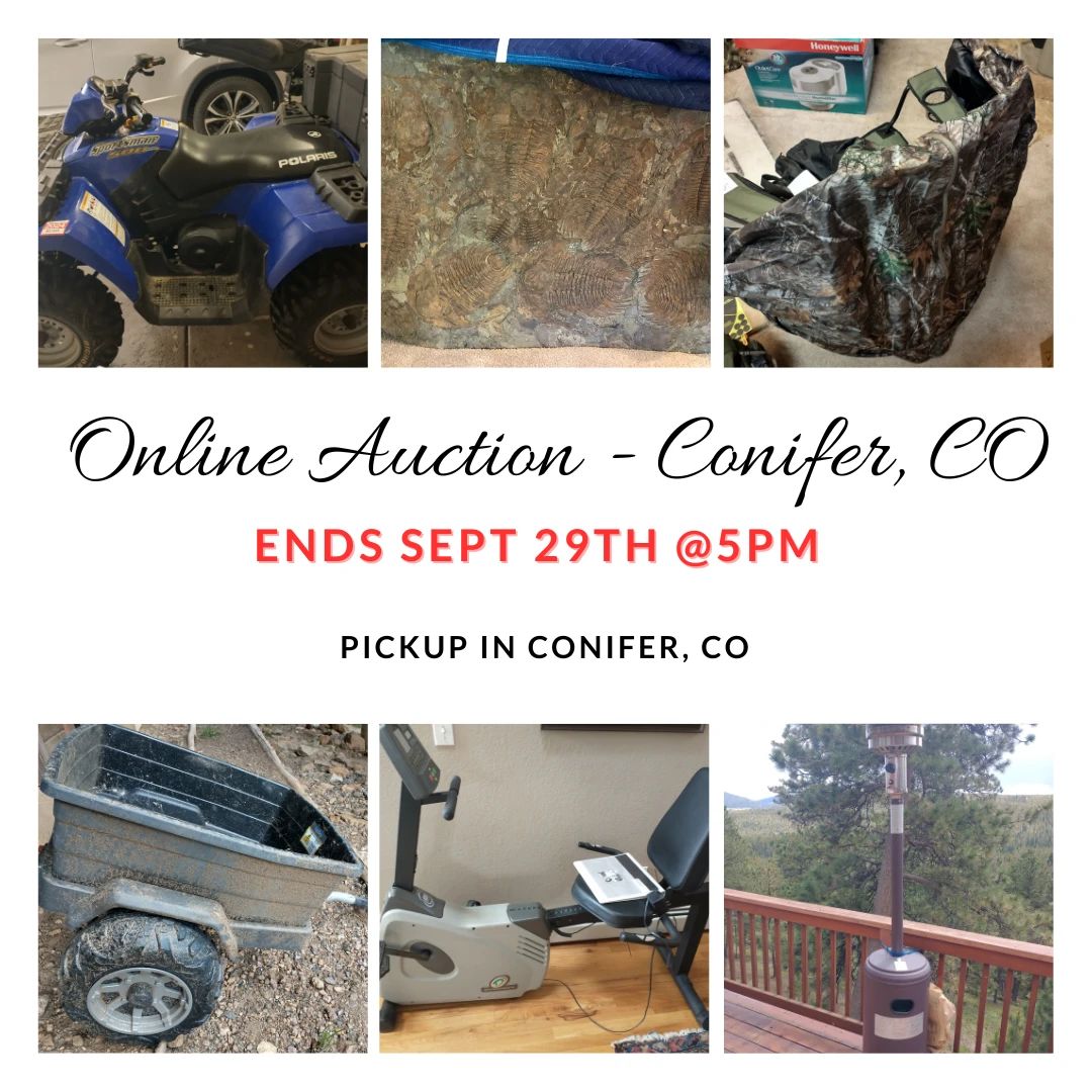 Auction Collage Pic