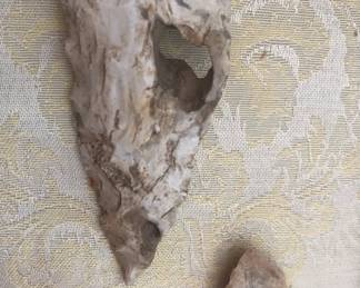 UNADJUSTEDNONRAW thumb 1ae3f