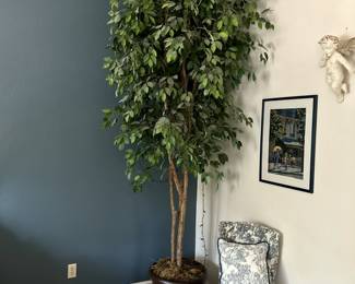 Very Tall indoor Tree