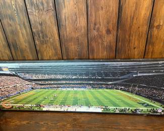 Soldier Field painting