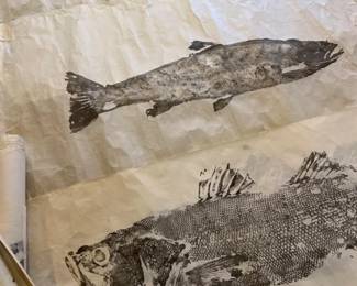 Ten Gyotaku Method Fish Prints by Sato
