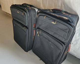 Luggage