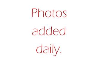 Photos added daily