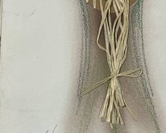 Alina Galliano Signed  Portfolio