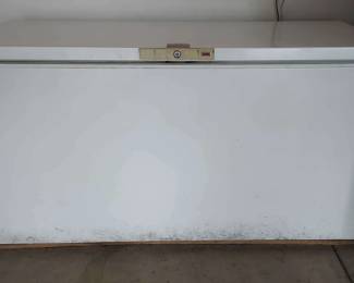 Woods Custom Coffin Freezer