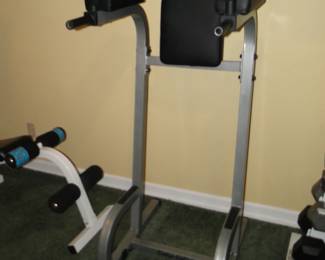Body Solid (for dips) $75