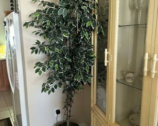 Ficus faux tree