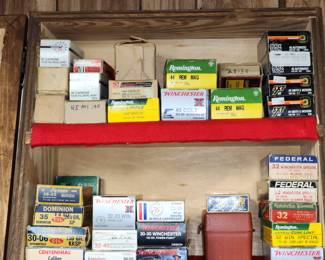ammo