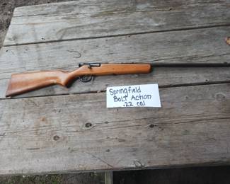 Springfield .22