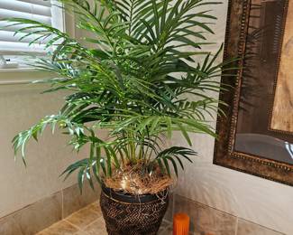 One if several nice silk potted plant