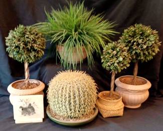 "Woodside: Bald Cypress" in Aiken, SC. Closing on Sat 9/30 at 8pm. Pickup is Mon 10/2 from 2-6pm. Please click here to view more photos, descriptions, and current bids:&nbsp;https://ctbids.com/estate-sale/24472