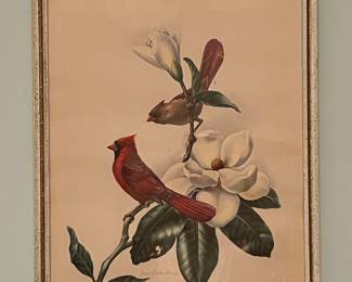 cardinal litho